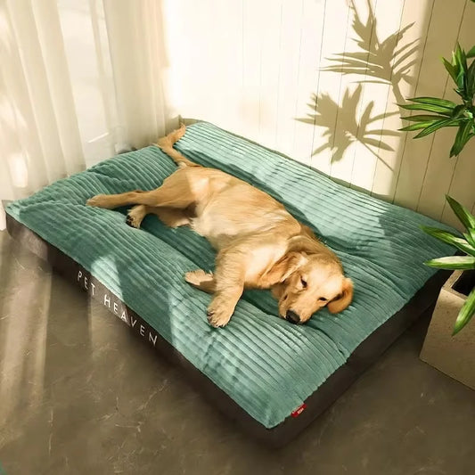 Grand coussin gonflable Chien