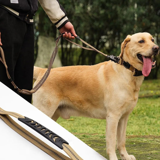 Laisse pour Chien 4 en 1 MonAmiFidèle