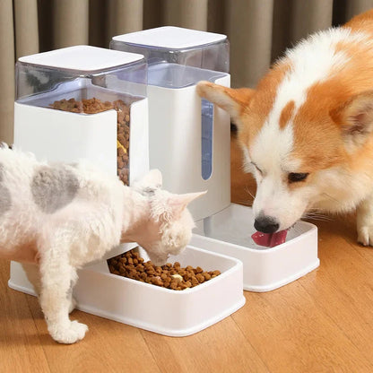 Distributeur automatique croquette pour Chien MonAmiFidèle