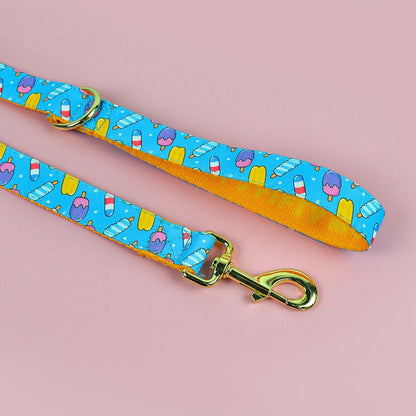 Laisse pour Chien avec motif MonAmiFidèle