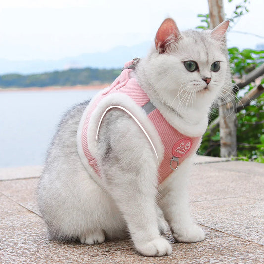 Harnais Chat Fourrure MonAmiFidèle