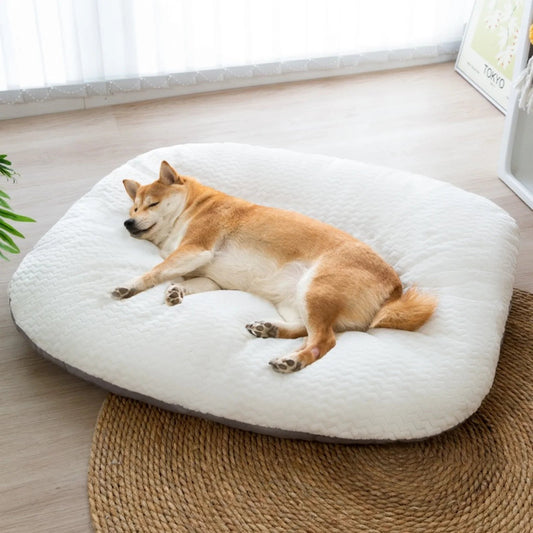 Tapis pour Chien doux MonAmiFidèle