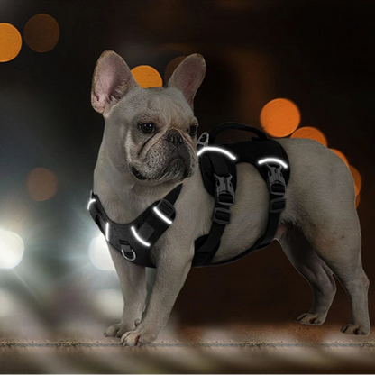 Harnais Chien avec Poignée MonAmiFidèle