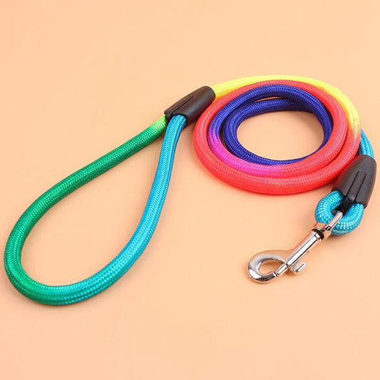 Laisse en nylon pour Chien Multicolore MonAmiFidèle