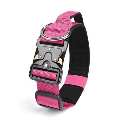 Collier pour gros Chien MonAmiFidèle