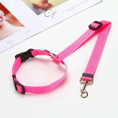 Laisse pour voiture pour Chien MonAmiFidèle