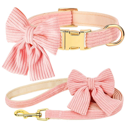 Collier et Laisse chien MonAmiFidèle