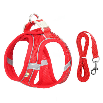 Harnais pour petit Chien MonAmiFidèle