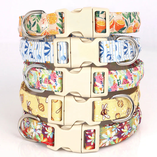 Collier pour Chien avec motif MonAmiFidèle