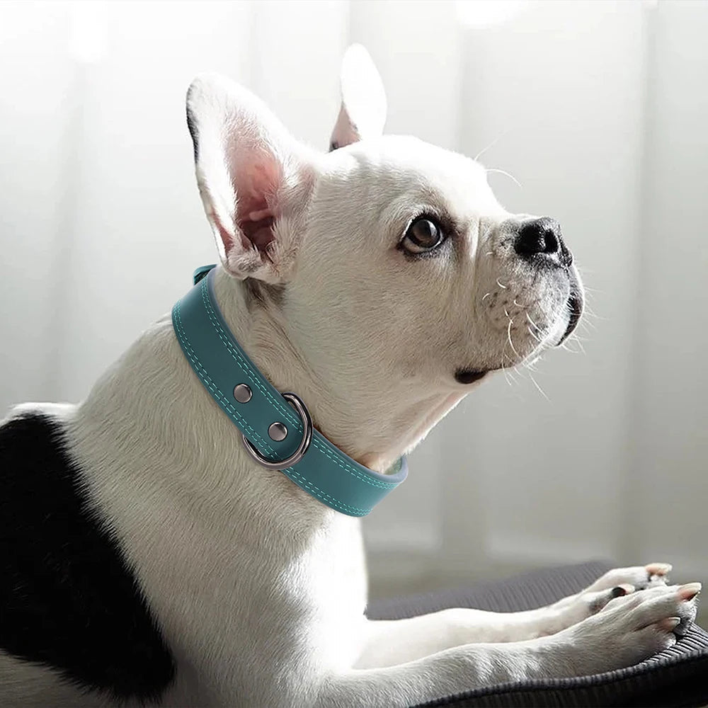 Collier en cuir pour Chien MonAmiFidèle