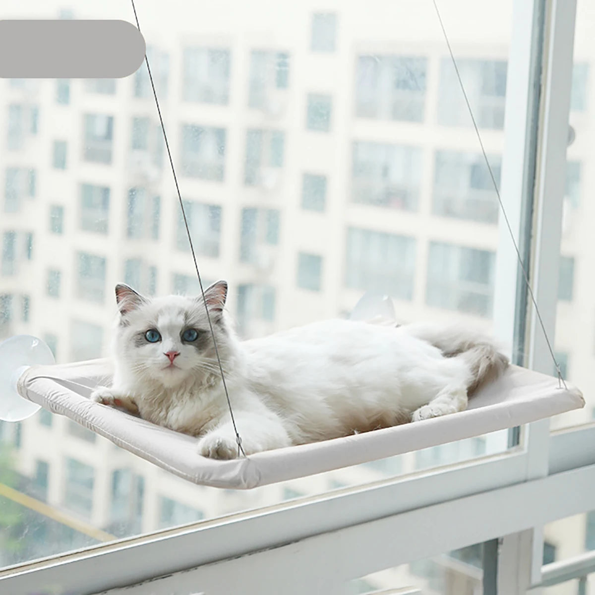 Hamac pour Chat fenetre MonAmiFidèle