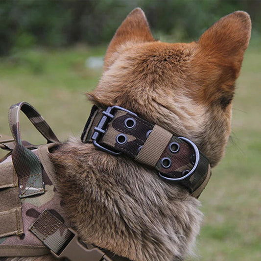 Collier tactique Chien MonAmiFidèle