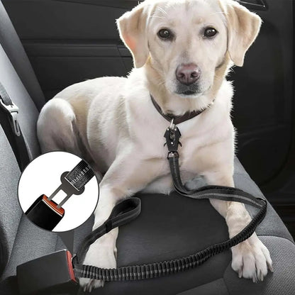 Reflective Shock Absorbing Pet Leashes with Car Seatbelt for Large Dogs Heavy Duty Tactical Bungee Dog Leash No Pull Dog Leash MonAmiFidèle