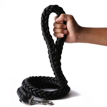 Laisse en nylon pour Chien MonAmiFidèle