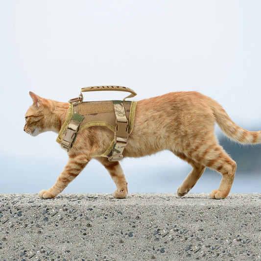 Harnais pour Chat Tactique MonAmiFidèle