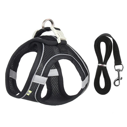 Harnais pour petit Chien MonAmiFidèle