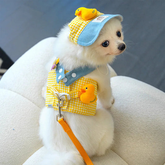 Harnais petit Chien ensemble 3 pièces MonAmiFidèle