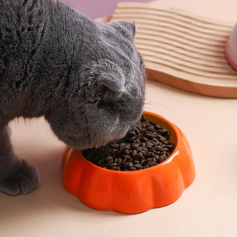Gamelle Chat céramique Fruits MonAmiFidèle