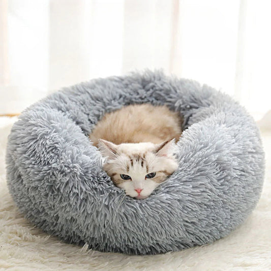 Nid douillet pour Chat MonAmiFidèle