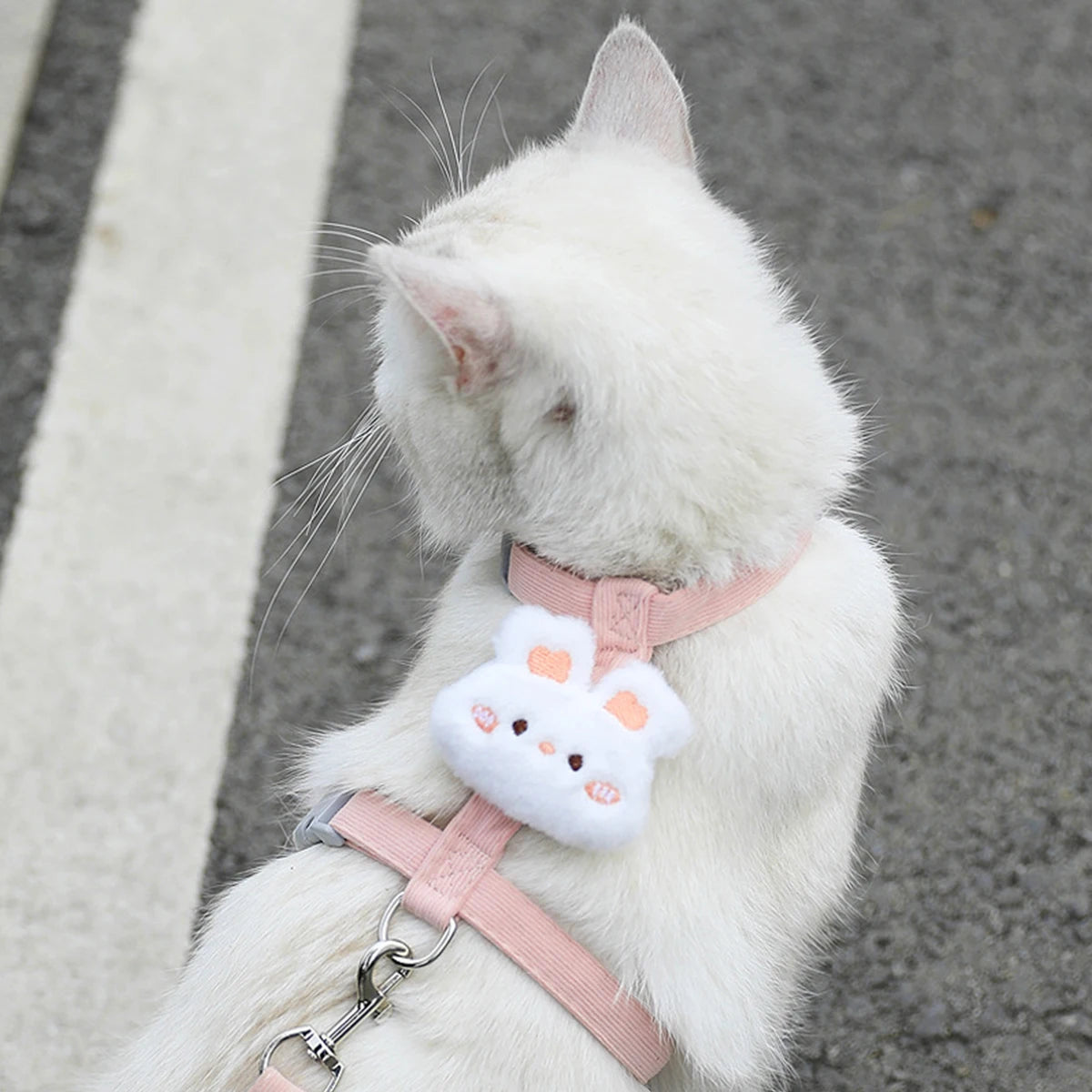 Harnais Laisse Chat Mignon MonAmiFidèle