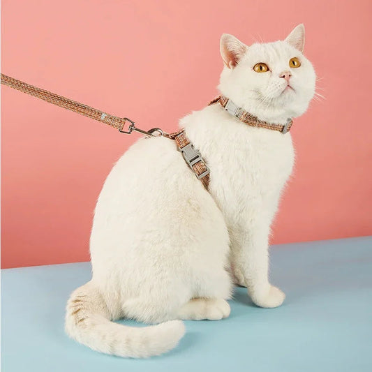 Harnais et Laisse pour Chat MonAmiFidèle