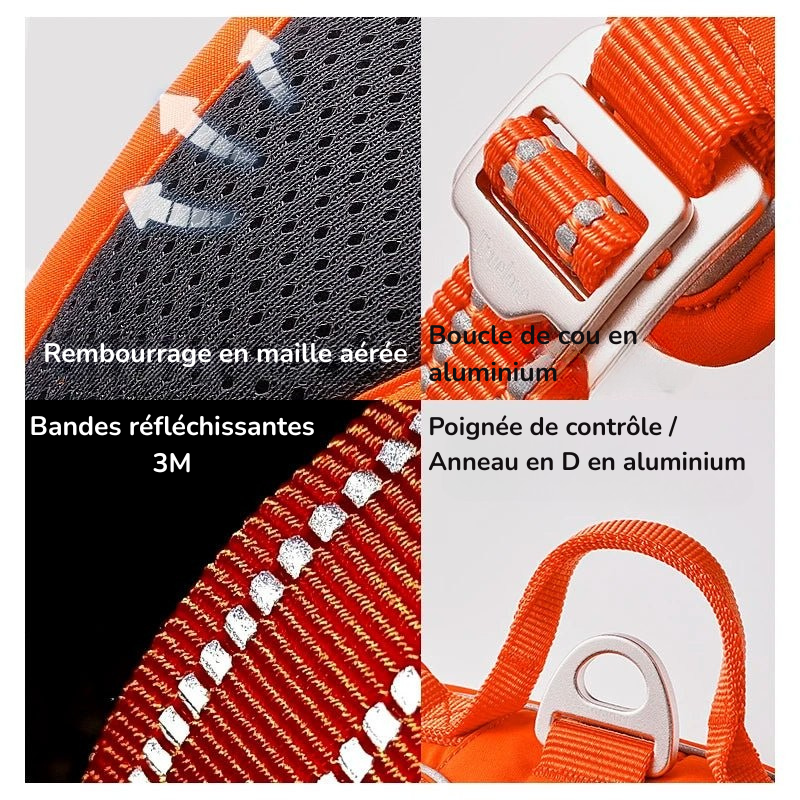 Harnais anti traction en Y Chien MonAmiFidèle