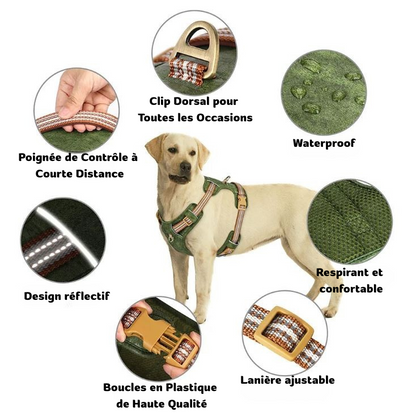Harnais pour Chien Design MonAmiFidèle