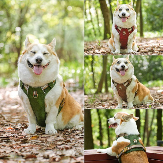 Harnais pour Chien Design MonAmiFidèle